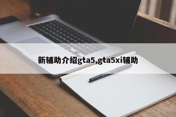 新辅助介绍gta5,gta5xi辅助