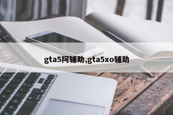gta5阿辅助,gta5xo辅助