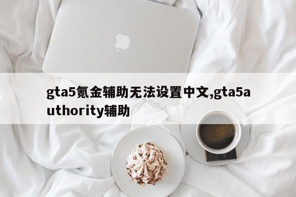 gta5氪金辅助无法设置中文,gta5authority辅助