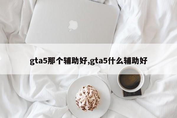 gta5那个辅助好,gta5什么辅助好