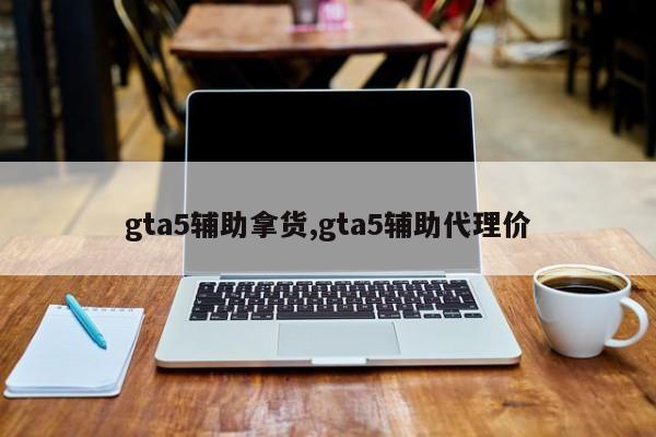 gta5辅助拿货,gta5辅助代理价