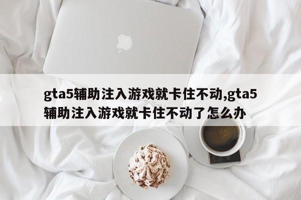 gta5辅助注入游戏就卡住不动,gta5辅助注入游戏就卡住不动了怎么办