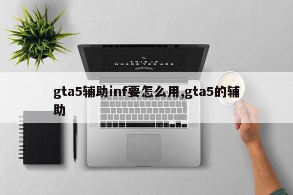 gta5辅助inf要怎么用,gta5的辅助