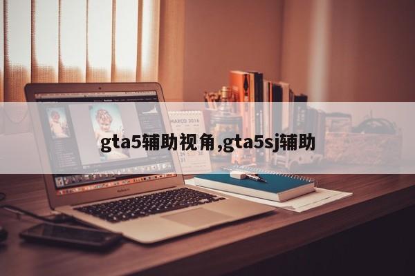gta5辅助视角,gta5sj辅助