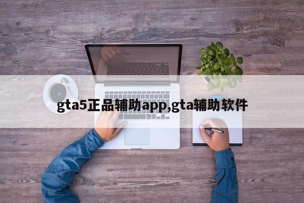 gta5正品辅助app,gta辅助软件