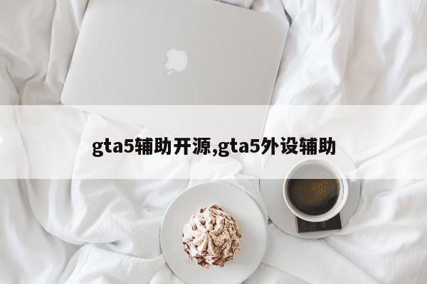 gta5辅助开源,gta5外设辅助