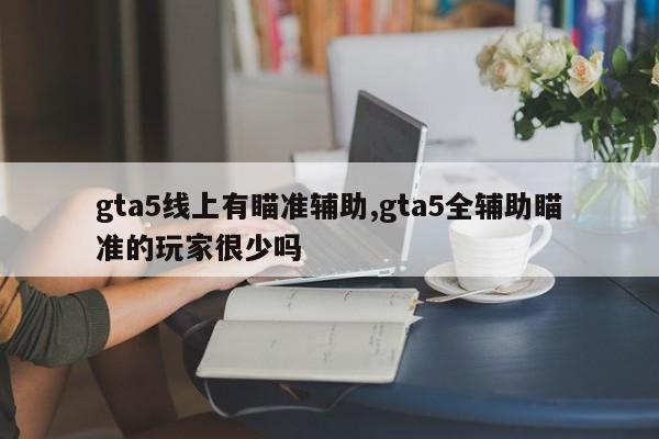 gta5线上有瞄准辅助,gta5全辅助瞄准的玩家很少吗