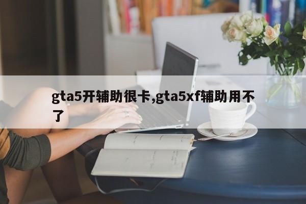 gta5开辅助很卡,gta5xf辅助用不了